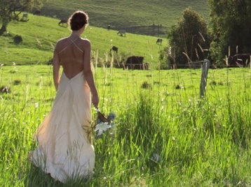 Wedding bride in field